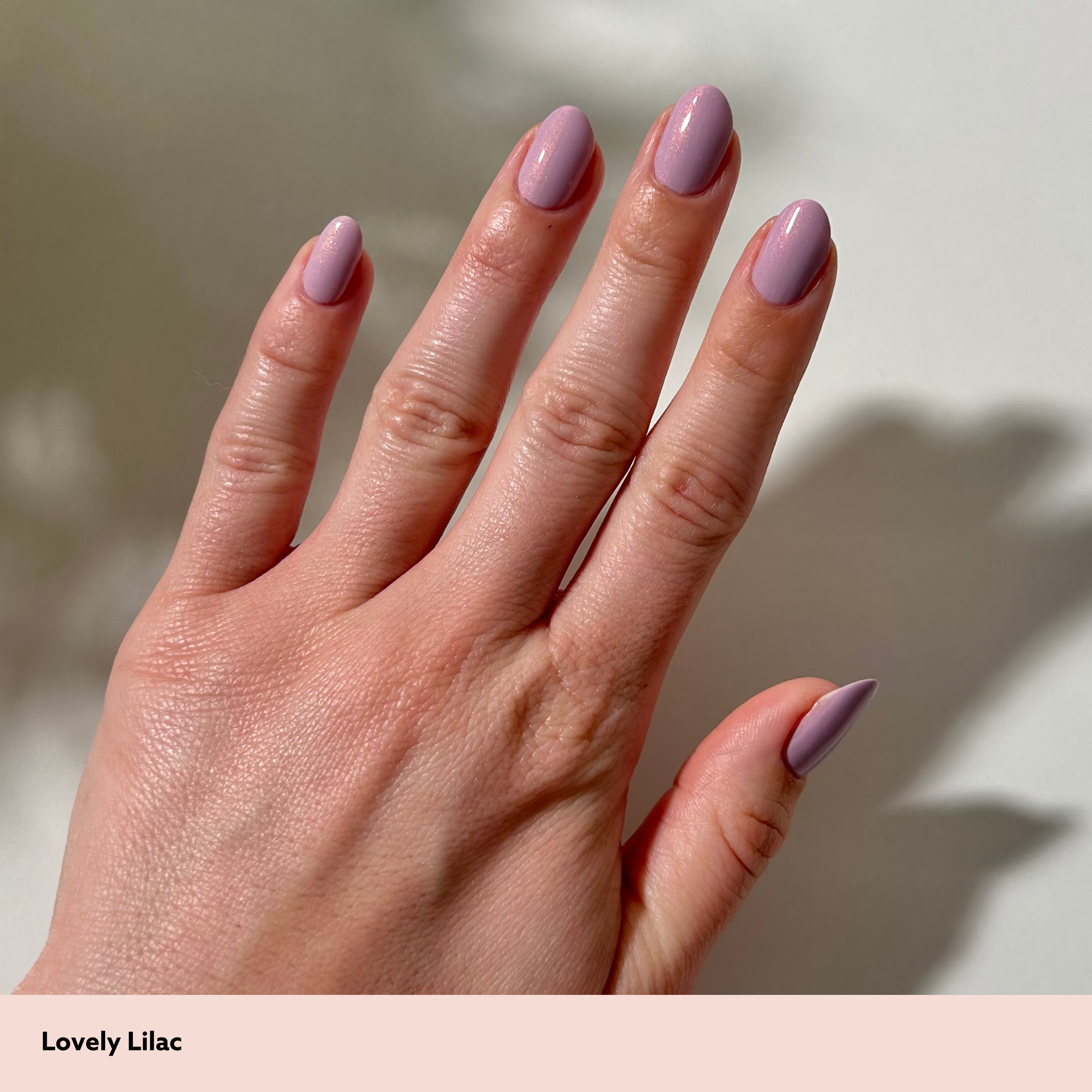 Lovely Lilac
