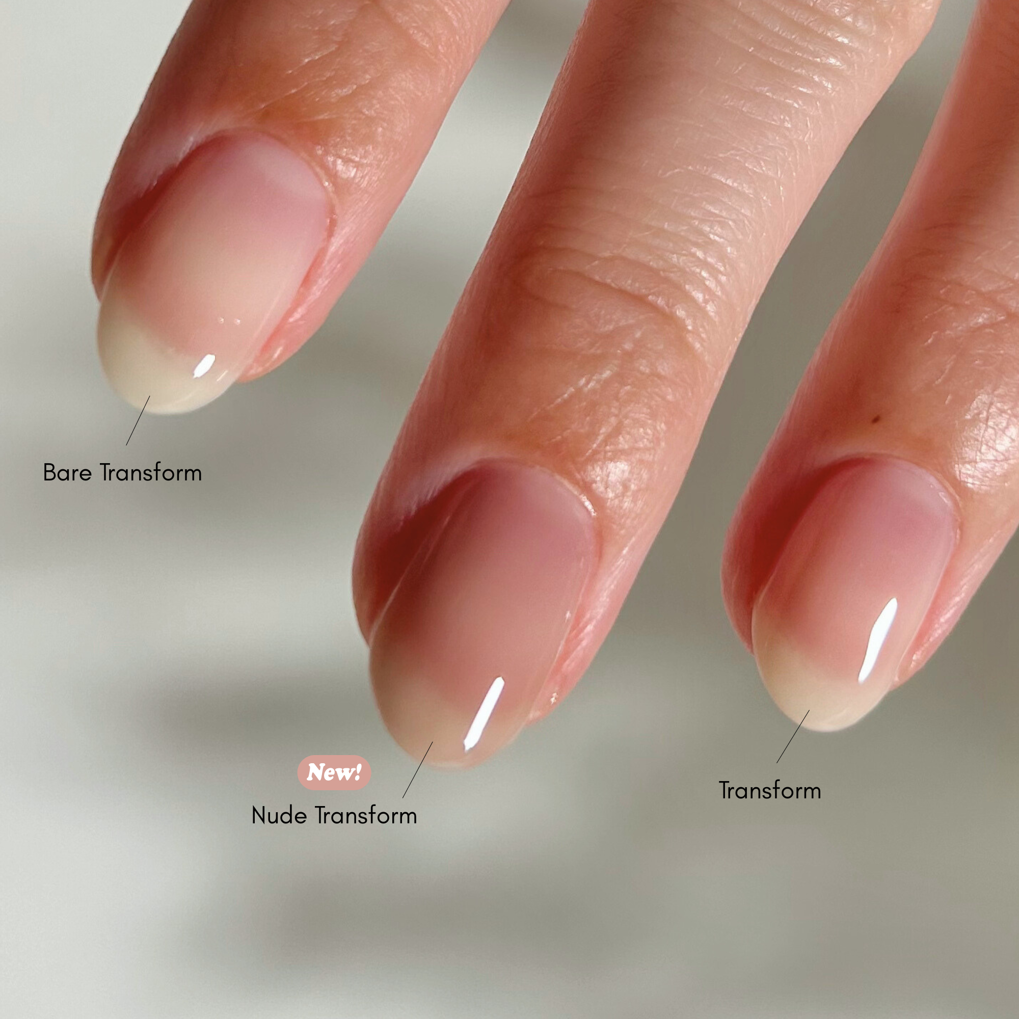 Mini Transform Ridge Filler