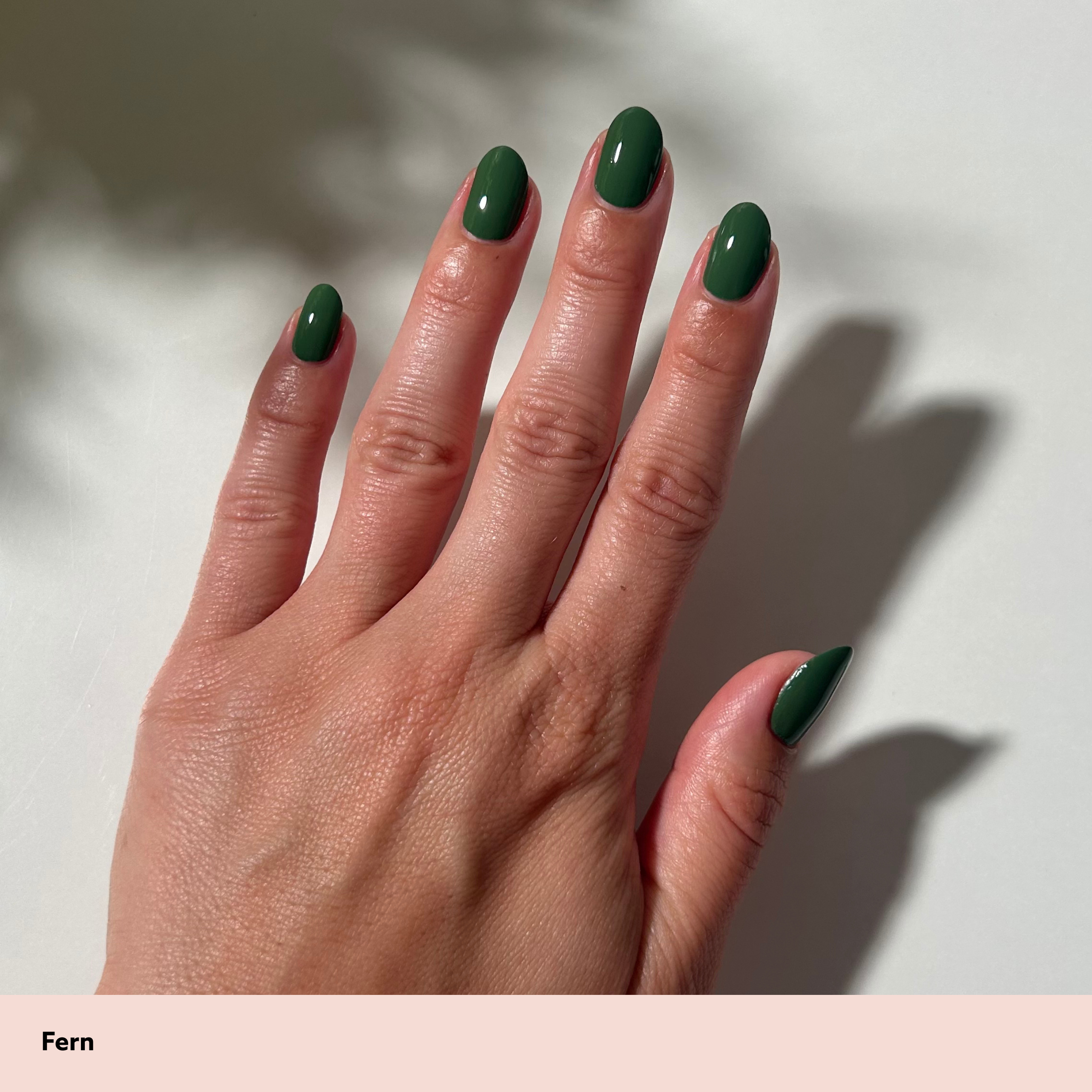Fern