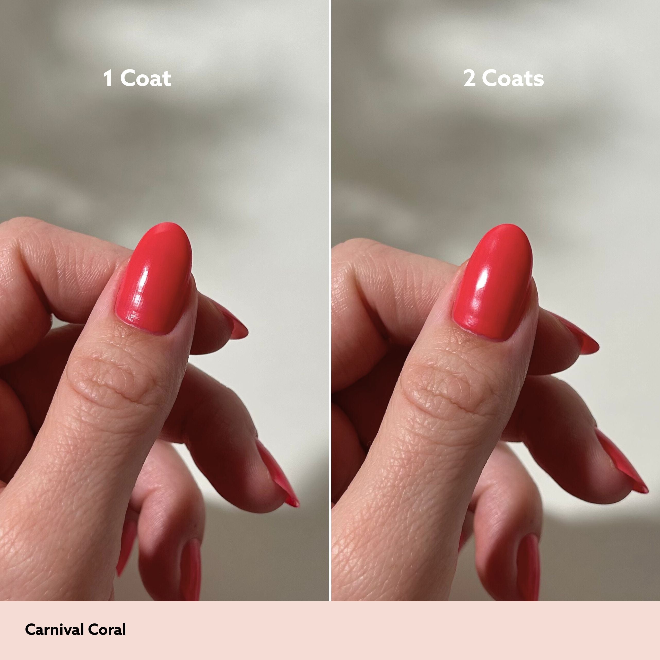 Carnival Coral Mini Kit