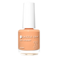 Creamsicle Sorbet