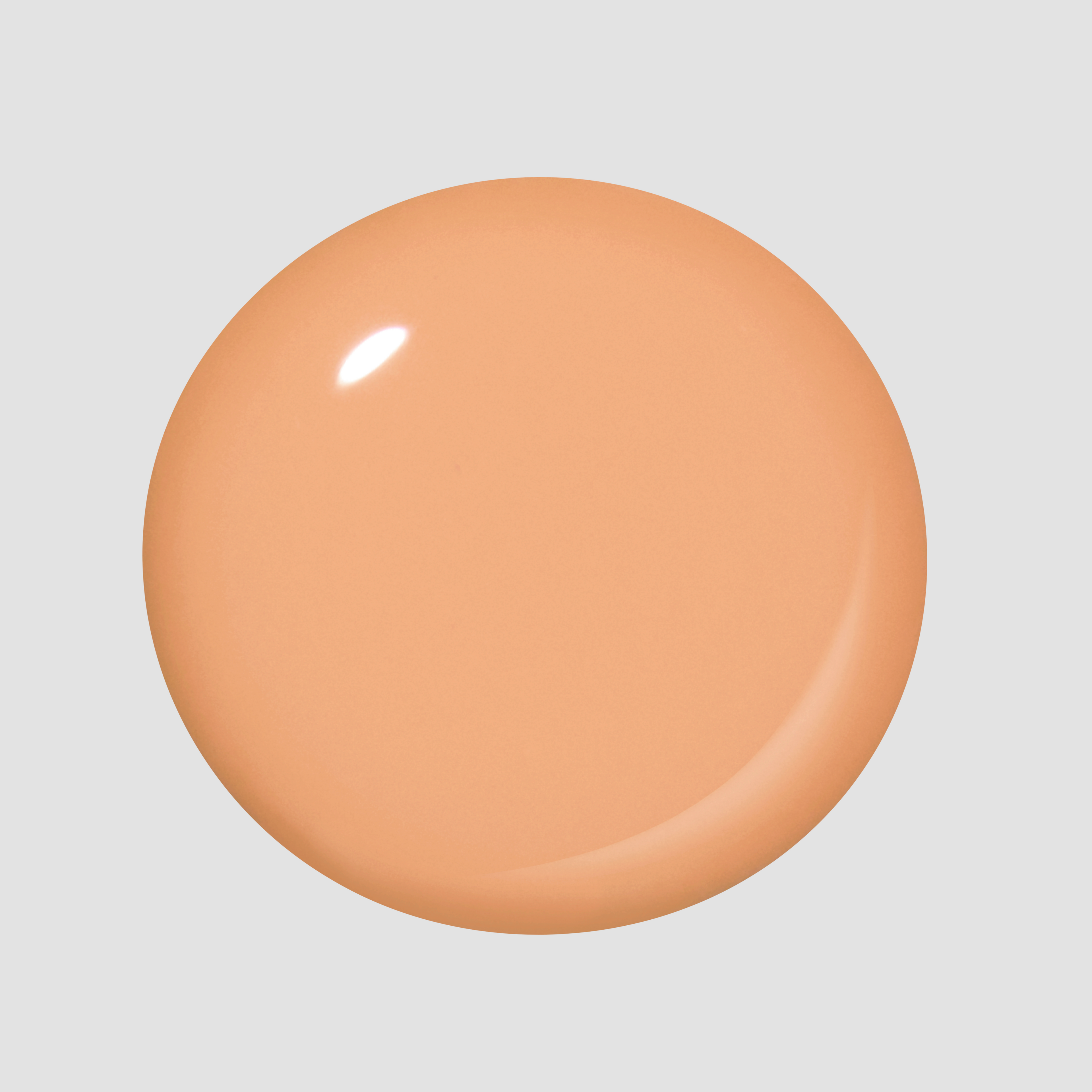 Creamsicle Sorbet